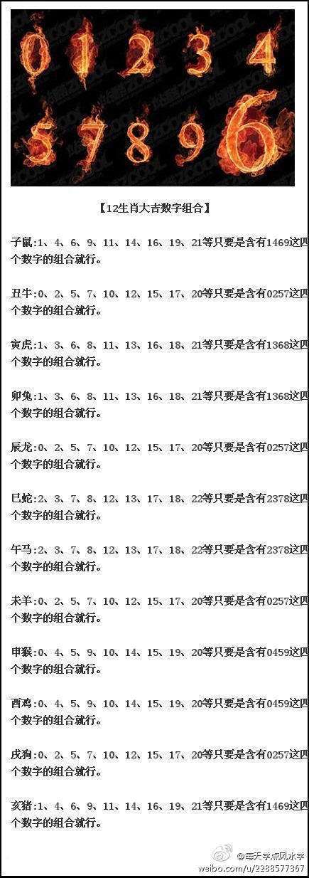 数字100代表生肖(十二生肖所代表数字是多少)