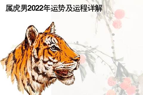 虎年2022运势生肖虎(2022年虎年各生肖运势)