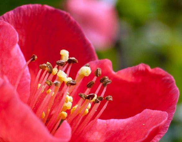 6月生肖鼠桃花运势测试(6月生肖鼠桃花运势测试分析)