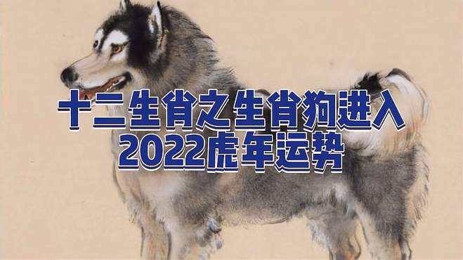 2021年运程生肖狗运势(2021年运程生肖狗运势查询)