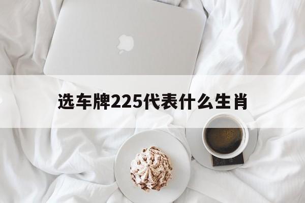 选车牌225代表什么生肖的简单介绍