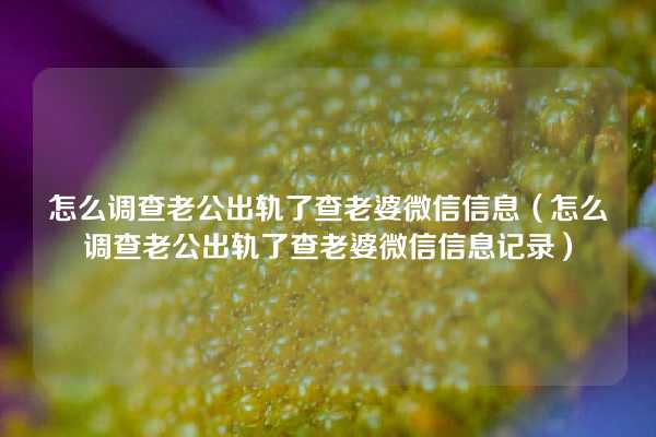 怎么调查老公出轨了查老婆微信信息（怎么调查老公出轨了查老婆微信信息记录）