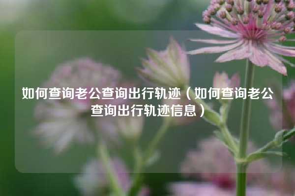 如何查询老公查询出行轨迹（如何查询老公查询出行轨迹信息）