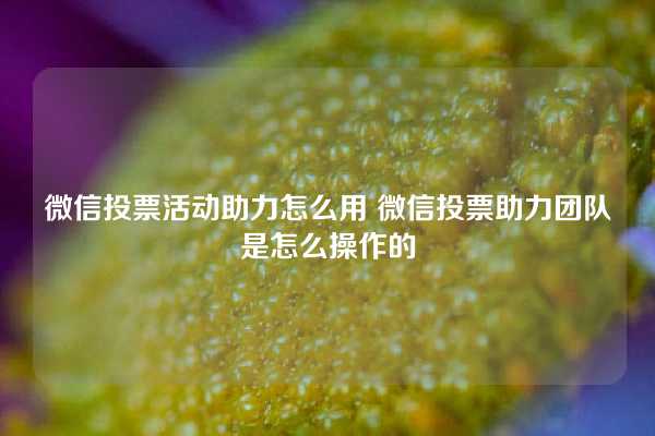 微信投票活动助力怎么用 微信投票助力团队是怎么操作的