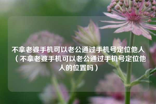 不拿老婆手机可以老公通过手机号定位他人（不拿老婆手机可以老公通过手机号定位他人的位置吗）