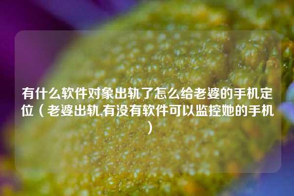 有什么软件对象出轨了怎么给老婆的手机定位（老婆出轨,有没有软件可以监控她的手机）