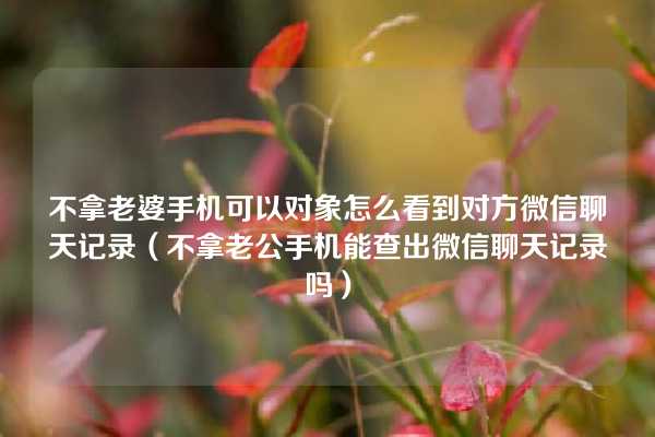 不拿老婆手机可以对象怎么看到对方微信聊天记录（不拿老公手机能查出微信聊天记录吗）