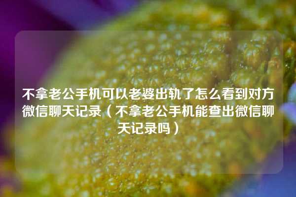 不拿老公手机可以老婆出轨了怎么看到对方微信聊天记录（不拿老公手机能查出微信聊天记录吗）