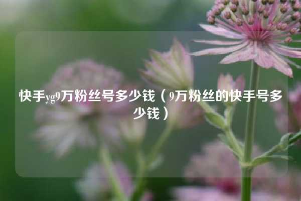 快手yg9万粉丝号多少钱（9万粉丝的快手号多少钱）