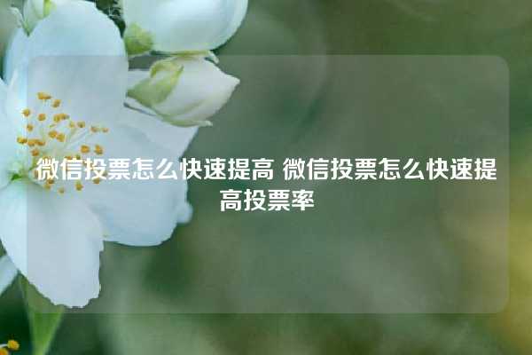 微信投票怎么快速提高 微信投票怎么快速提高投票率