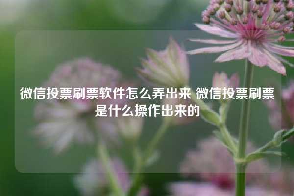 微信投票刷票软件怎么弄出来 微信投票刷票是什么操作出来的