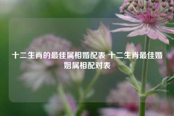 十二生肖的最佳属相婚配表 十二生肖最佳婚姻属相配对表