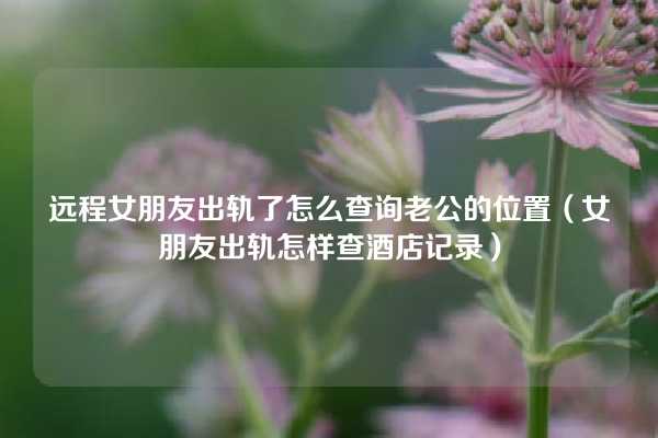 远程女朋友出轨了怎么查询老公的位置（女朋友出轨怎样查酒店记录）