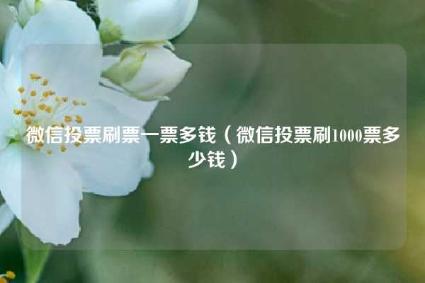 微信投票刷票一票多钱（微信投票刷1000票多少钱）