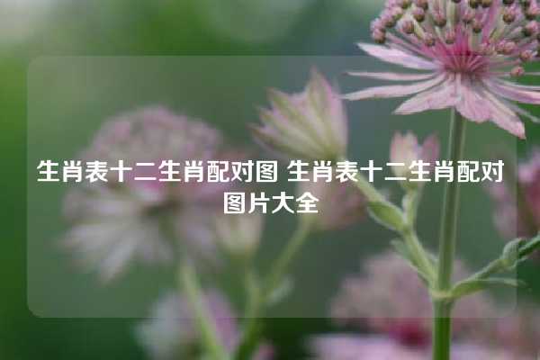 生肖表十二生肖配对图 生肖表十二生肖配对图片大全