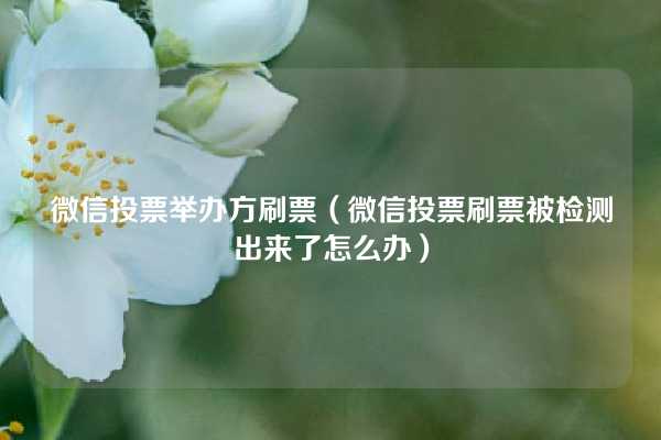 微信投票举办方刷票（微信投票刷票被检测出来了怎么办）