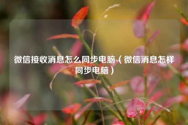 微信接收消息怎么同步电脑（微信消息怎样同步电脑）