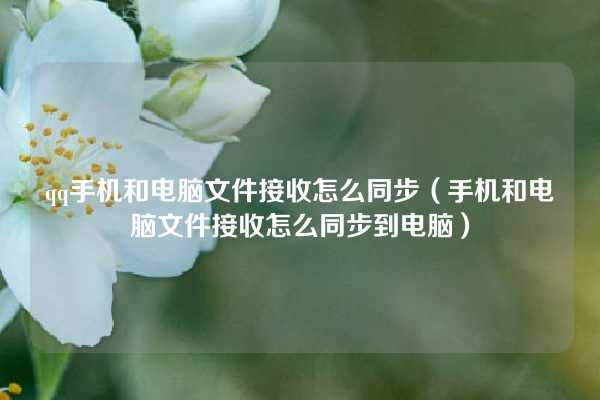 qq手机和电脑文件接收怎么同步（手机和电脑文件接收怎么同步到电脑）