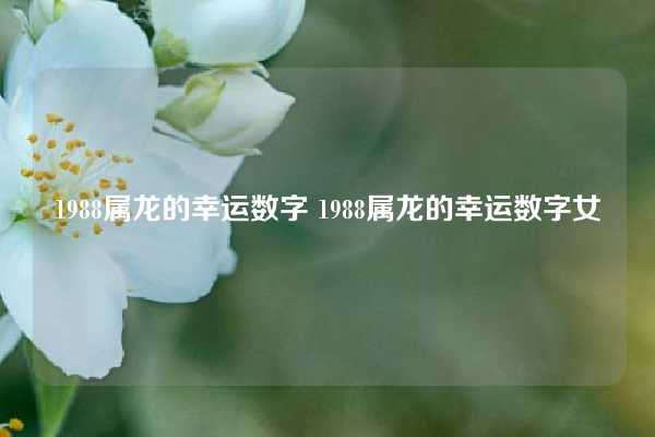 1988属龙的幸运数字 1988属龙的幸运数字女