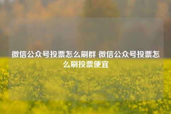 微信公众号投票怎么刷群 微信公众号投票怎么刷投票便宜