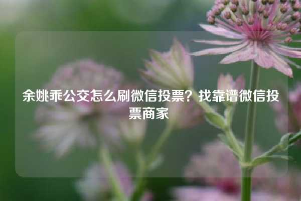 余姚乖公交怎么刷微信投票？找靠谱微信投票商家 