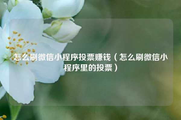 怎么刷微信小程序投票赚钱（怎么刷微信小程序里的投票）