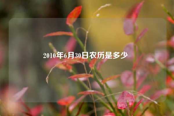 2010年6月30日农历是多少 