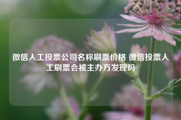 微信人工投票公司名称刷票价格 微信投票人工刷票会被主办方发现吗