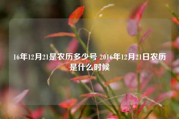 16年12月21是农历多少号 2016年12月21日农历是什么时候