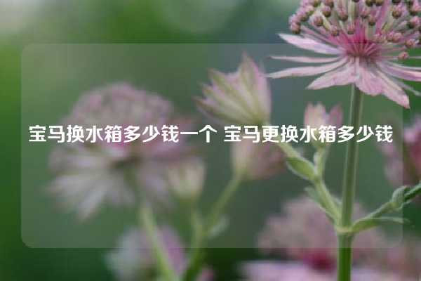 宝马换水箱多少钱一个 宝马更换水箱多少钱