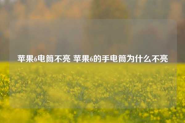 苹果6电筒不亮 苹果6的手电筒为什么不亮