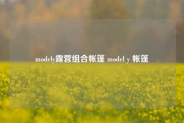 modely露营组合帐篷 model y 帐篷