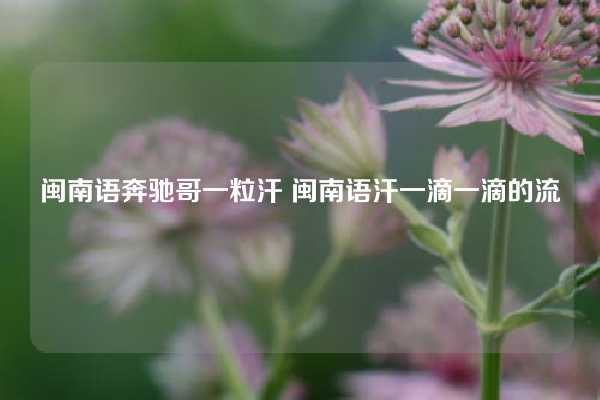 闽南语奔驰哥一粒汗 闽南语汗一滴一滴的流