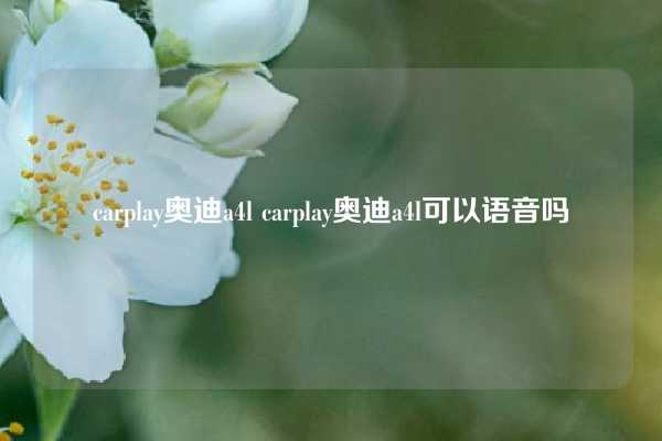 carplay奥迪a4l carplay奥迪a4l可以语音吗