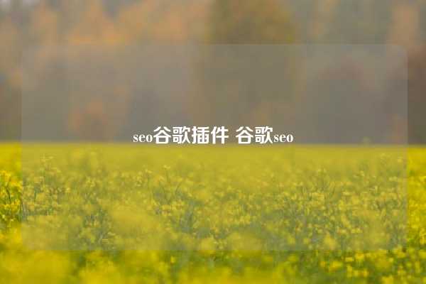 seo谷歌插件 谷歌seo