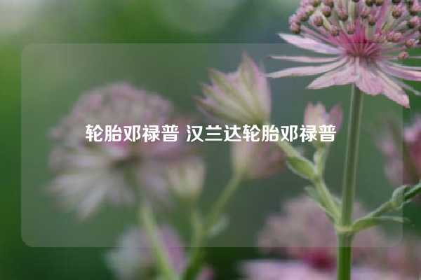 轮胎邓禄普 汉兰达轮胎邓禄普