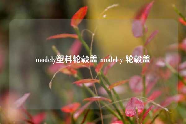 modely塑料轮毂盖 model y 轮毂盖