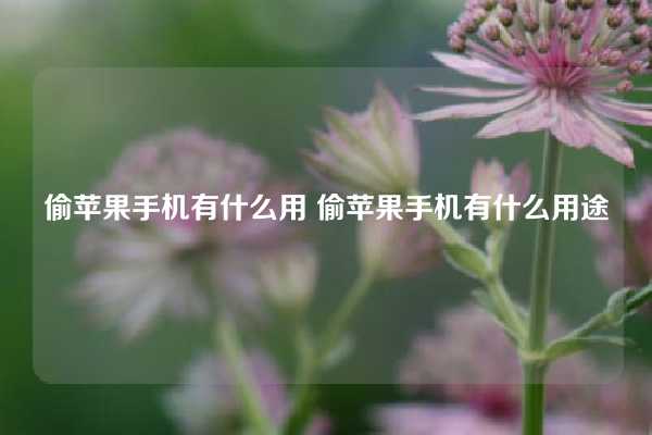 偷苹果手机有什么用 偷苹果手机有什么用途