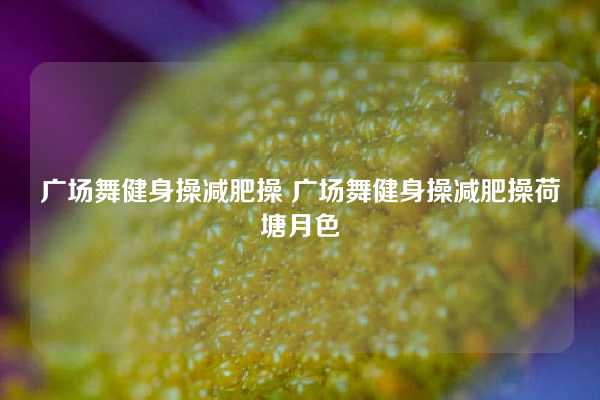 广场舞健身操减肥操 广场舞健身操减肥操荷塘月色