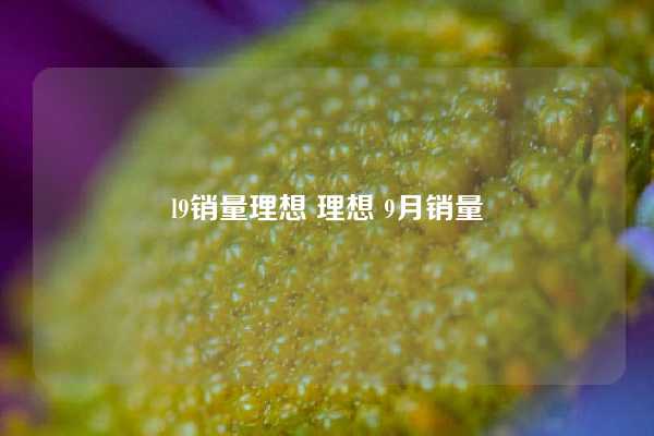 l9销量理想 理想 9月销量