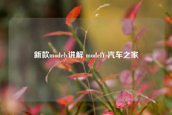 新款modely讲解 modelY 汽车之家