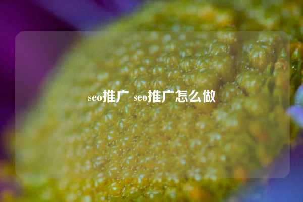 seo推广 seo推广怎么做