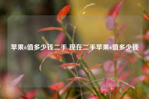 苹果6值多少钱二手 现在二手苹果6值多少钱