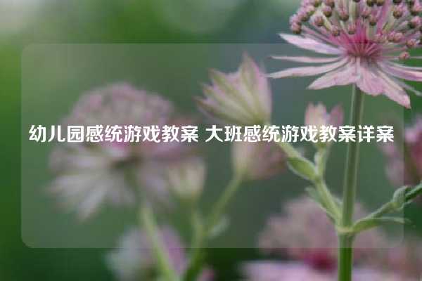 幼儿园感统游戏教案 大班感统游戏教案详案