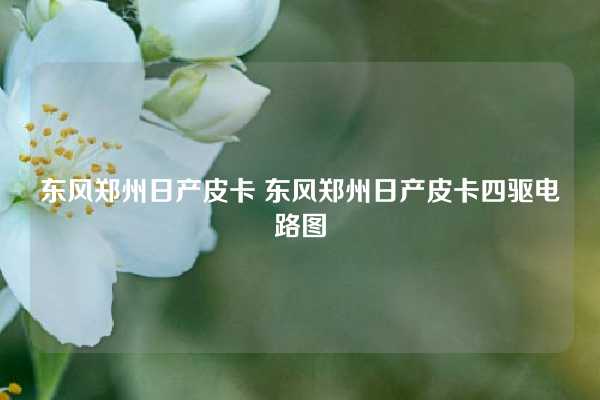 东风郑州日产皮卡 东风郑州日产皮卡四驱电路图